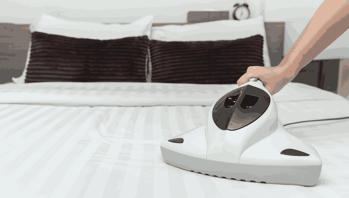 Professional Mattress Cleaning Mont Albert